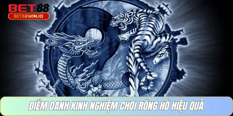 Điểm danh kinh nghiệm chơi rồng hổ hiệu quả