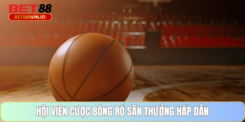 Hội viên cược bóng rổ săn thưởng hấp dẫn