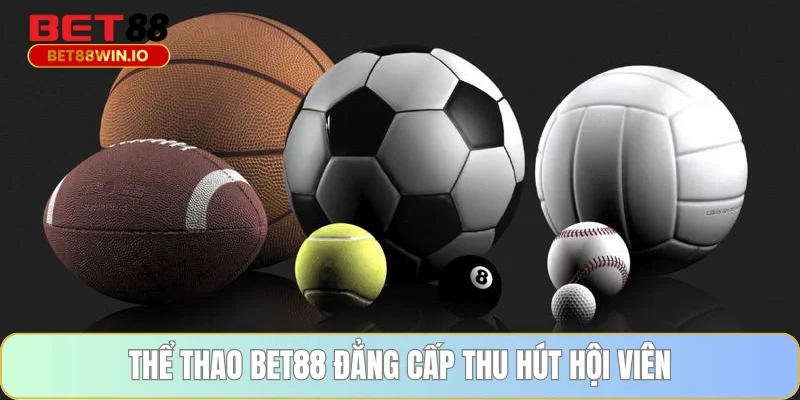 Thể thao BET88 đẳng cấp thu hút hội viên